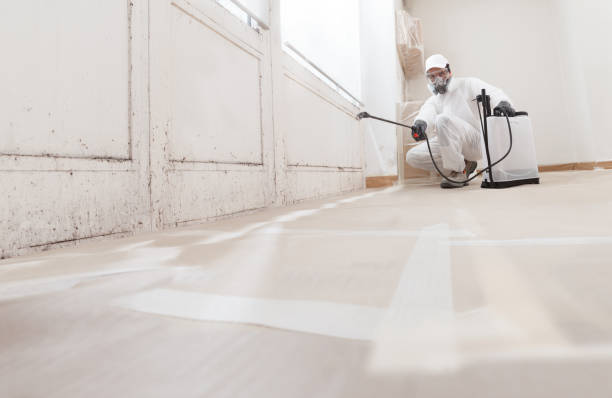 24/7 Emergency Mold Remediation experts in Georgetown, IL